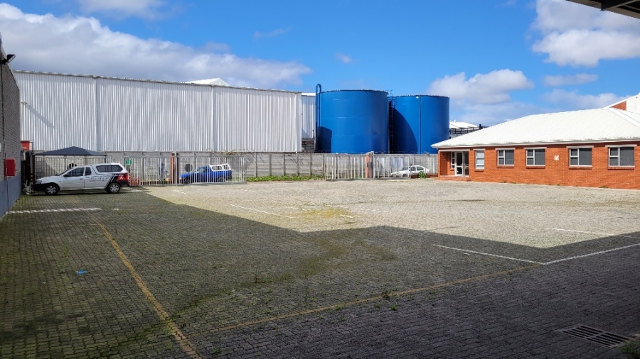 To Let commercial Property for Rent in Airport Industria Western Cape